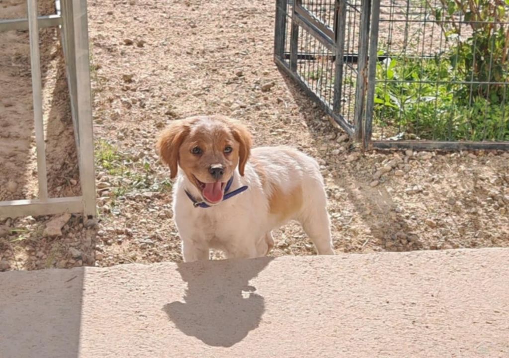 Ades du vallon de majargues