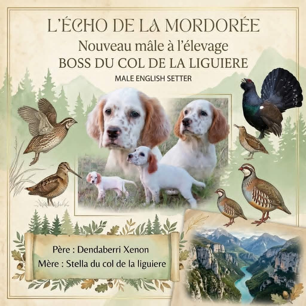 Boss du col de la liguiere