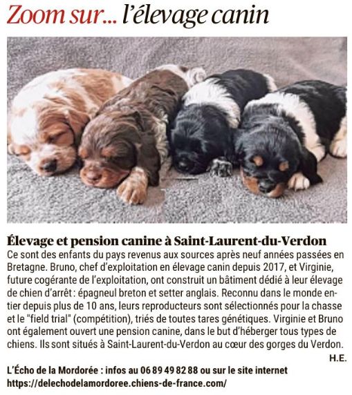 Merci La Provence 