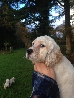 CHIOT
